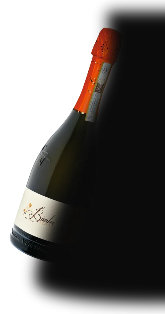 prosecco superiore docg Valdobbiadene Conegliano