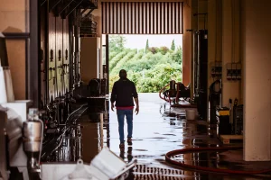 i bamboi gran tour 3