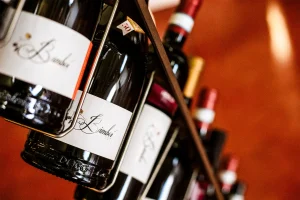 i bamboi gran tour 4